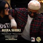 دانلود آهنگ جدید رضا شیری به نام نیومدی نیومدی
