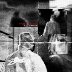 دانلود آهنگ جدید بیگ شگی به نام I Walk Alone