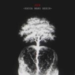 دانلود آهنگ جدید فدی به نام خدا منو ببین