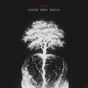 دانلود آهنگ جدید فدی به نام خدا منو ببین