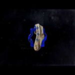 دانلود آهنگ جدید رضا پیشرو، حسین تهی به نام جوراب