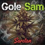 دانلود آهنگ جدید آرش سرطان به نام گل سم