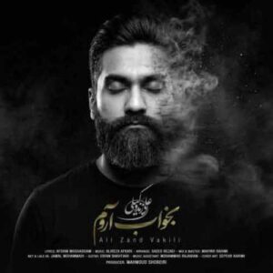 دانلود آهنگ جدید علی زند وکیلی به نام بخواب آروم