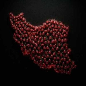 دانلود آهنگ جدید شروین حاجی پور به نام ایرانم