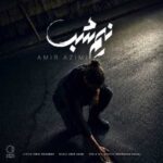 دانلود آهنگ جدید امیر عظیمی به نام نیم شب