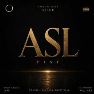دانلود آهنگ جدید اصل به نام پیست