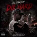 دانلود آهنگ جدید بیگ شگی به نام Die Hard