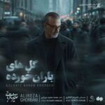 دانلود آهنگ جدید علیرضا قربانی به نام گل های باران خورده