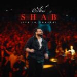 دانلود آهنگ جدید آرمان گرشاسبی به نام شب (اجرای کنسرت)